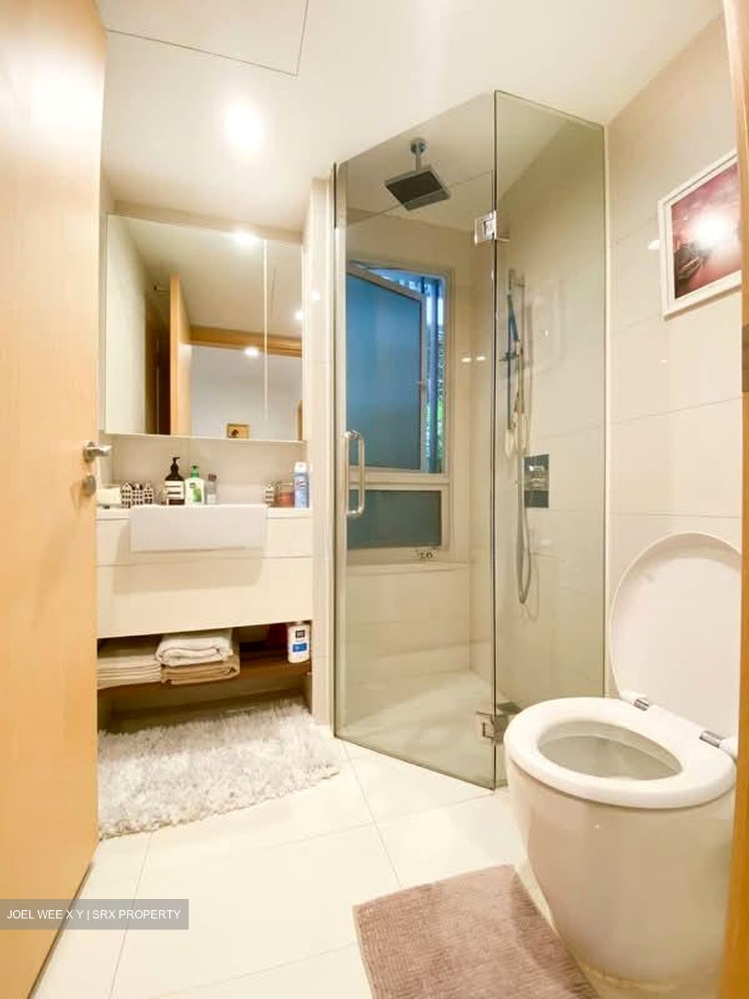 Eight Riversuites (D12), Condominium #554679381